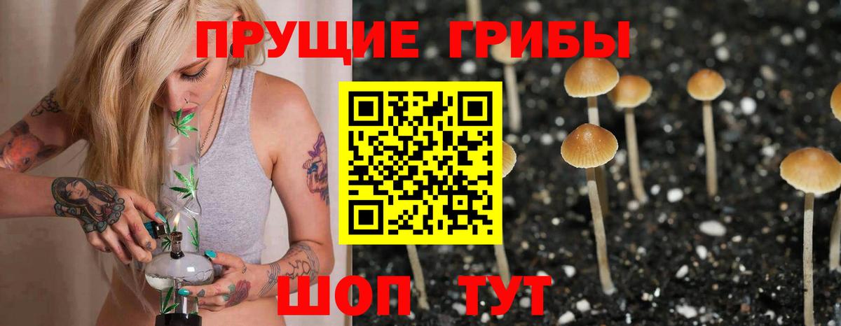 Галлюциногенные грибы ЛСД Добрянка