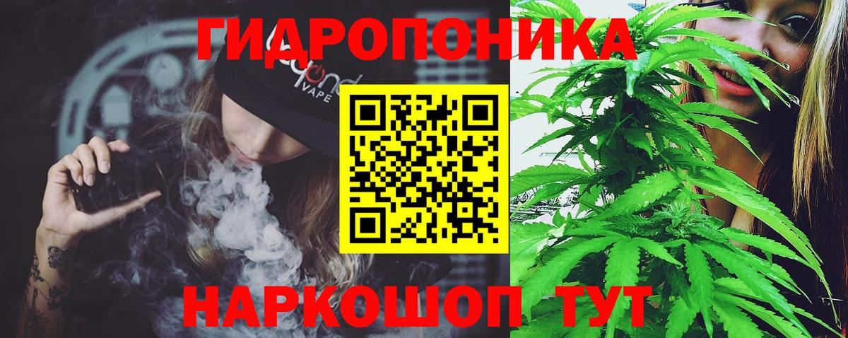 Шишки марихуана семена Добрянка